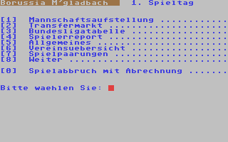 Bundesliga 94 95 Screenshot 1